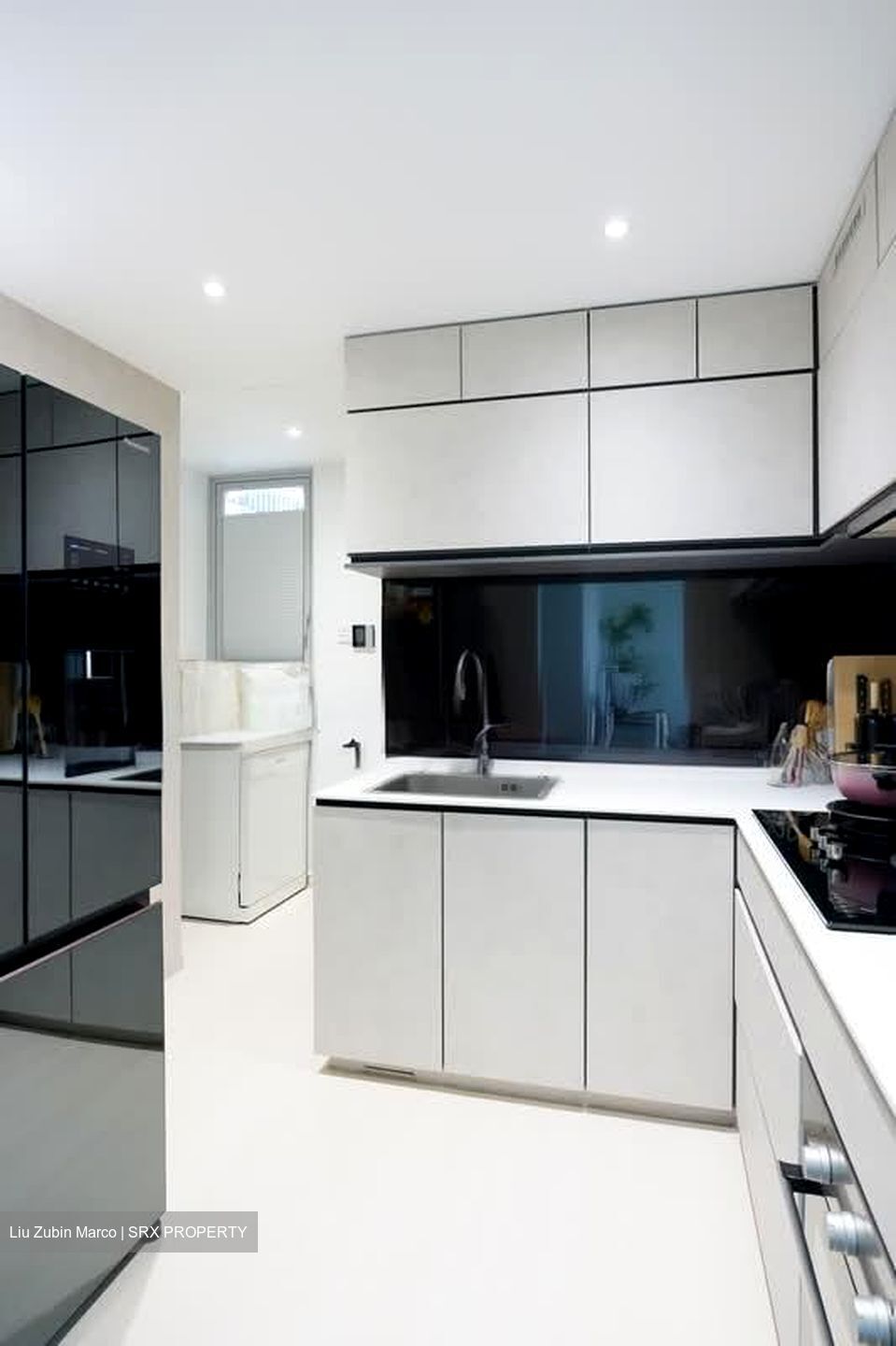 Ecopolitan (D19), Condominium #558271651